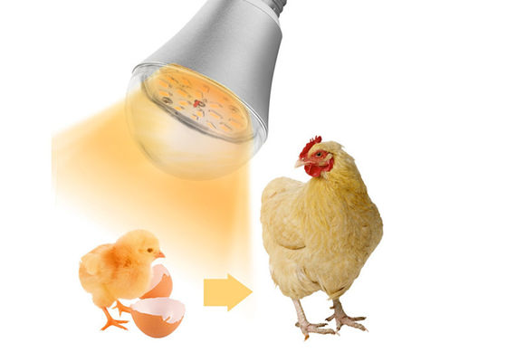 مزرعه مرغ ضد آب LED چراغ روشنایی Dimmable 9W