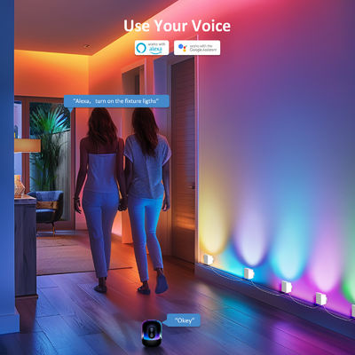 کنترل بلوتوث قابل آدرس RGBCW Smart Wall Sconces / Eave Lights برای دکوراسیون کریسمس